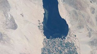 Satellite-image-of-Sea-with-surrounding-developments-310x175