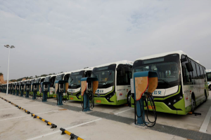 BYD eBuses Parked at Charging Stations