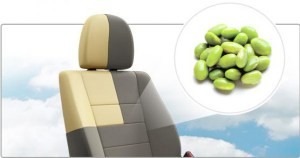 Some Ford seats are made from soybeans