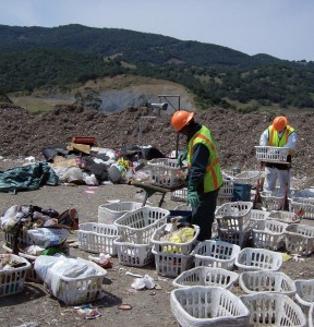 Sorting waste for a state-wide study