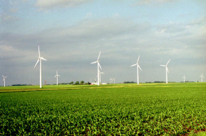 The wind farms in Iowa